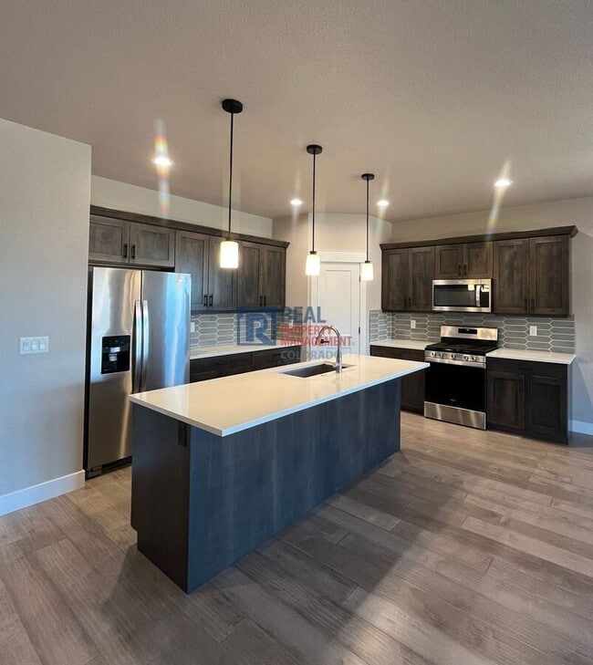 1912 Tidewater Ln in Windsor, CO - Building Photo - Building Photo