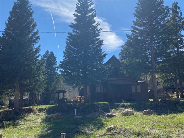 1054 W Chicago Creek Rd in Idaho Springs, CO - Building Photo - Building Photo