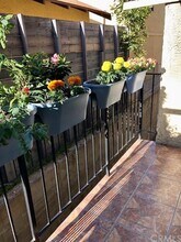 212 N Jackson St, Unit 5 in Glendale, CA - Building Photo - Building Photo