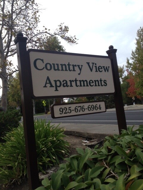 311 Country View Ln in Pleasant Hill, CA - Building Photo