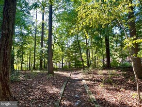 2621 Chivalry Ct in Silver Spring, MD - Building Photo - Building Photo