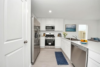 25312 Leather Leaf Ct in Montgomery, TX - Foto de edificio - Building Photo