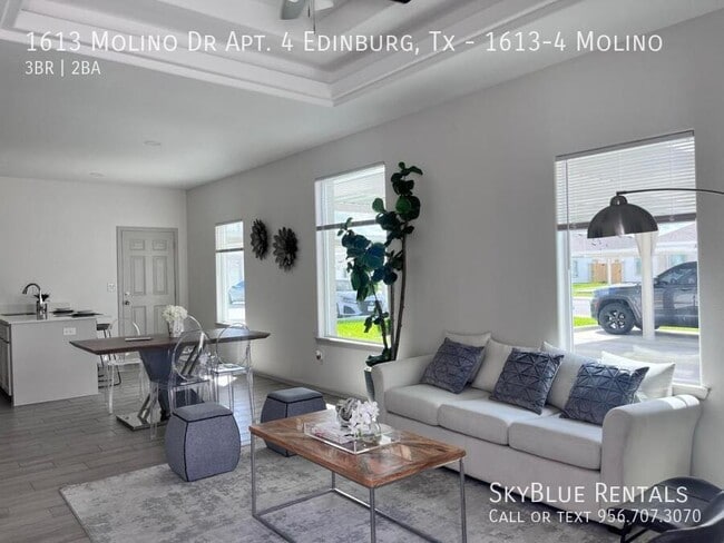 1613 Molino Dr in Edinburg, TX - Building Photo - Building Photo