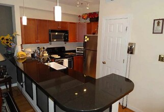 215 N 19th St in Richmond, VA - Building Photo - Building Photo