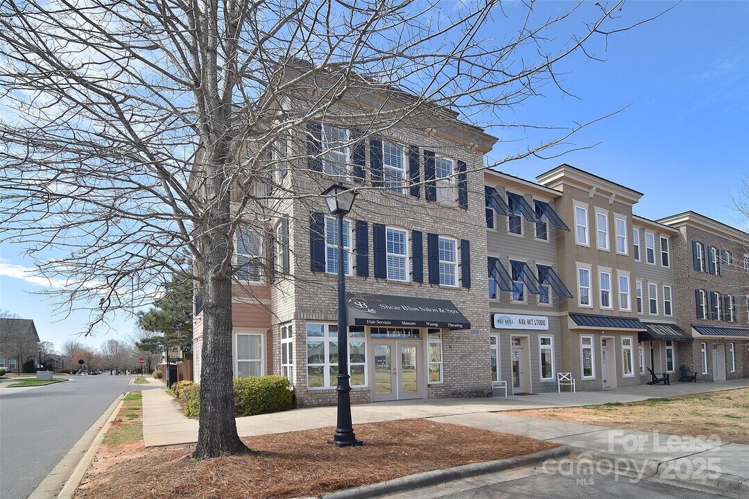 11058 Cedar Walk Lane in Charlotte, NC - Foto de edificio