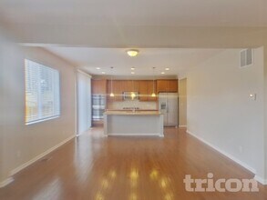 1156 Raindrop Way in Castle Rock, CO - Building Photo - Building Photo