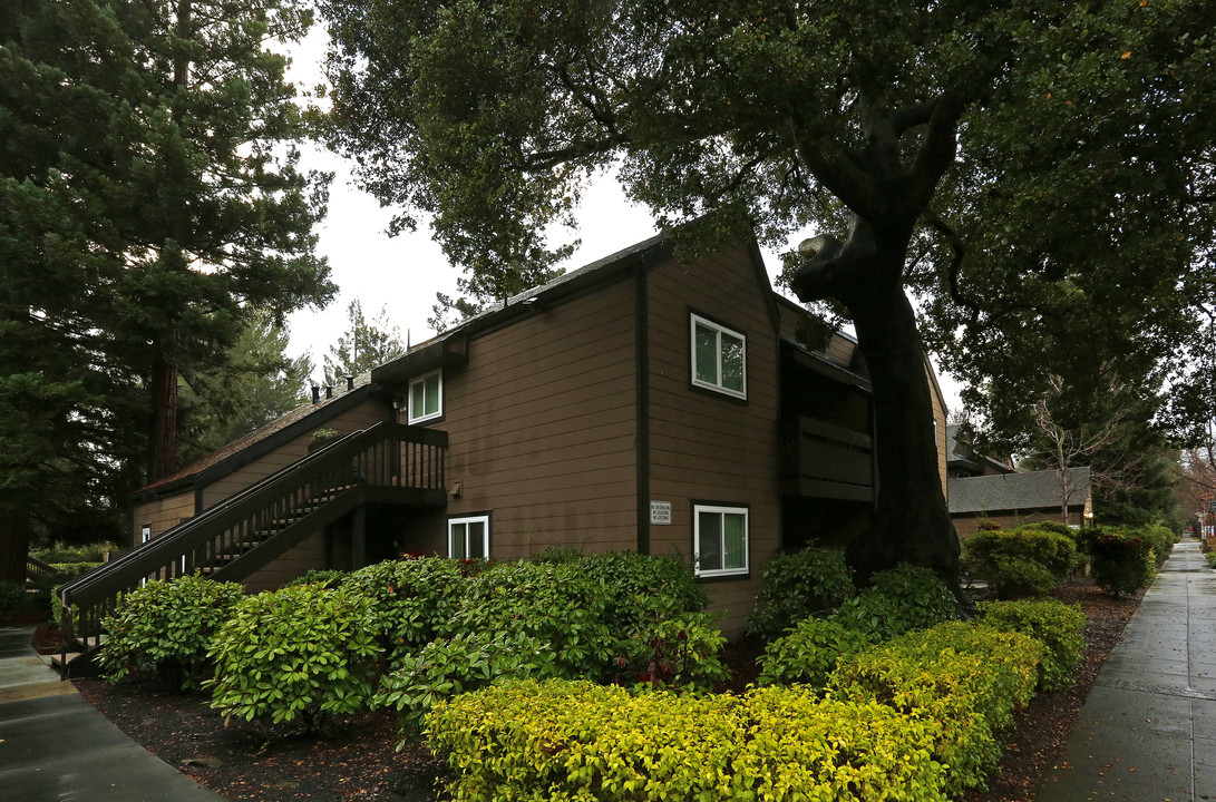 Webster Wood Apartments in Palo Alto, CA - Building Photo