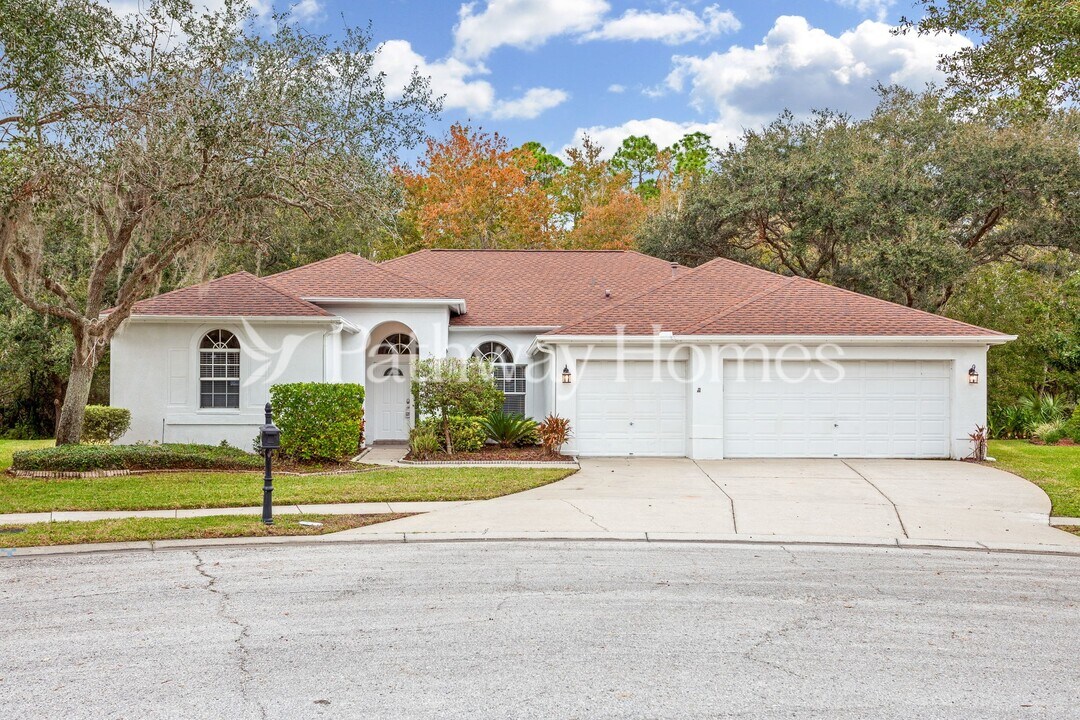 10217 Newington Pl in Tampa, FL - Building Photo
