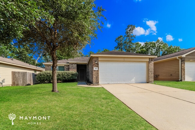 property at 816 Lightningbug Ln