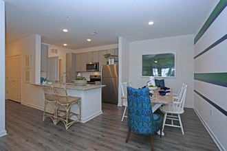 The Iris at Northpointe in Lutz, FL - Foto de edificio - Interior Photo