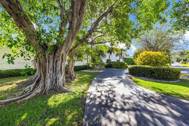 14615 SW 77th Ct in Palmetto Bay, FL - Foto de edificio - Building Photo