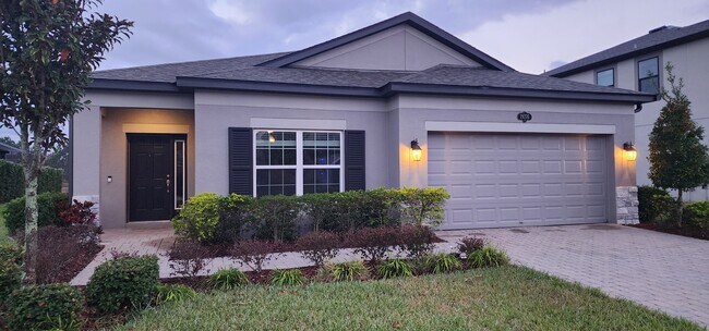 19376 Blossom Vine Ln in Lutz, FL - Building Photo - Building Photo