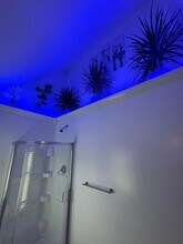 536 Arsenal St in Watertown, NY - Building Photo - Building Photo