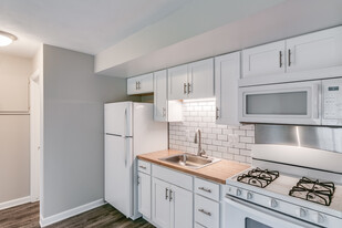 Silver Maple Village Apartments in Holt, MI - Building Photo