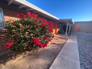 1306 N Richey Blvd in Tucson, AZ - Building Photo - Building Photo