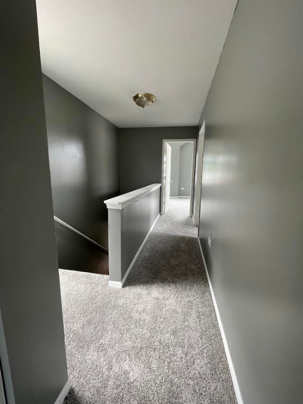 8445 S Gilbert Ct in Chicago, IL - Building Photo - Building Photo