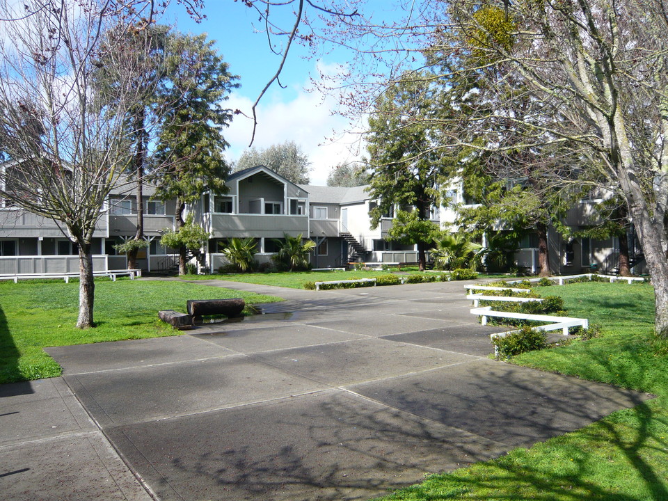 Continental Apartments in Santa Rosa, CA - Building Photo