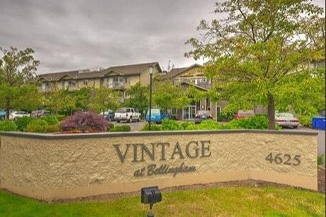 Vintage at Bellingham