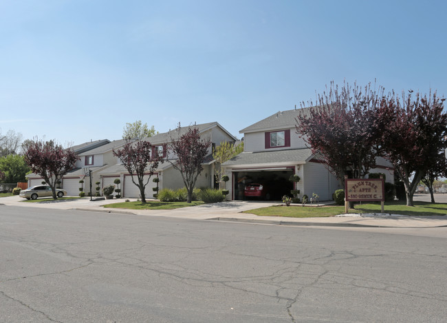 Plum Tree Apartments in Clovis, CA - Building Photo - Building Photo