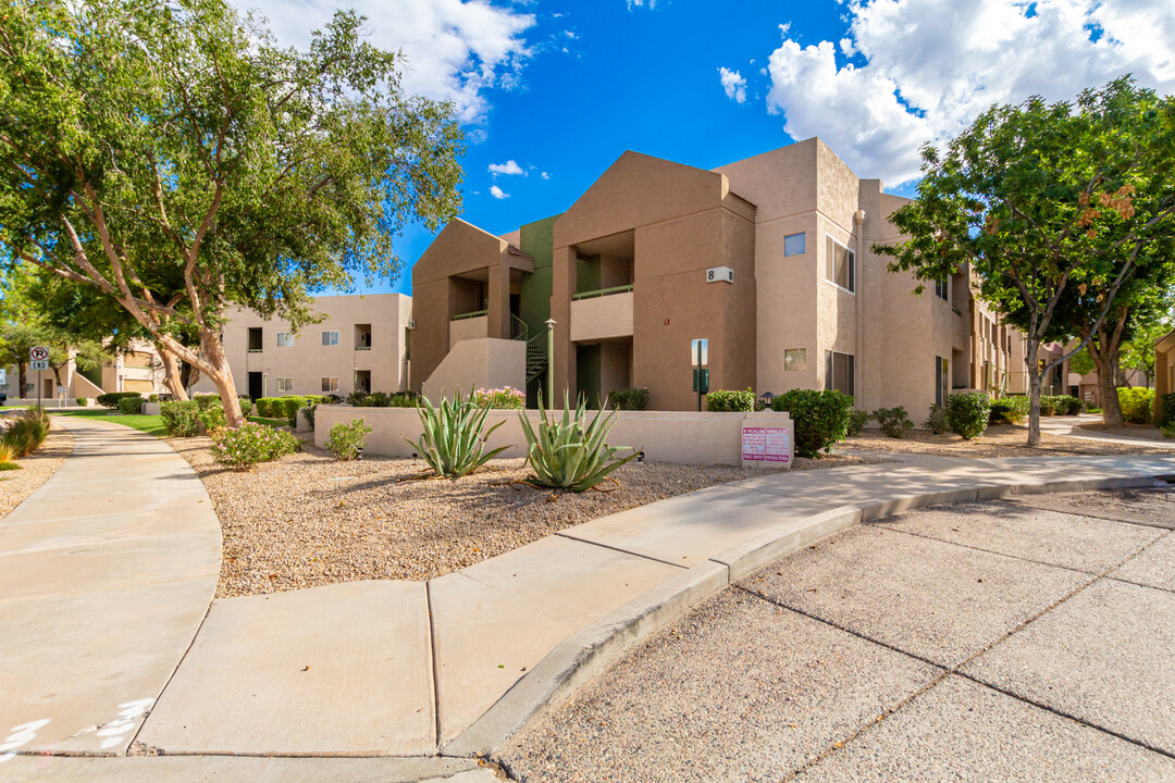 1295 N Ash St, Unit 818 in Gilbert, AZ - Building Photo