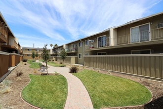 Mountain View Apartments in Concord, CA - Building Photo - Building Photo