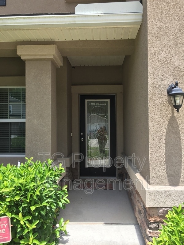 247 Shetland Dr in Saint Johns, FL - Building Photo - Building Photo