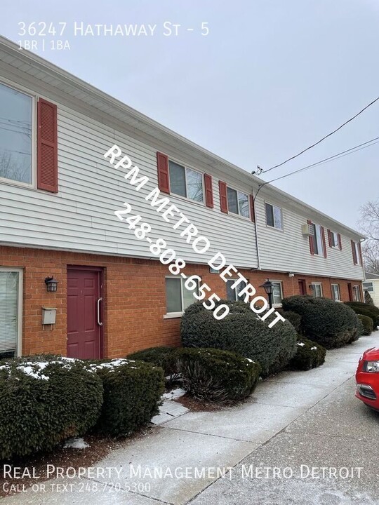 36247 Hathaway St in New Baltimore, MI - Building Photo