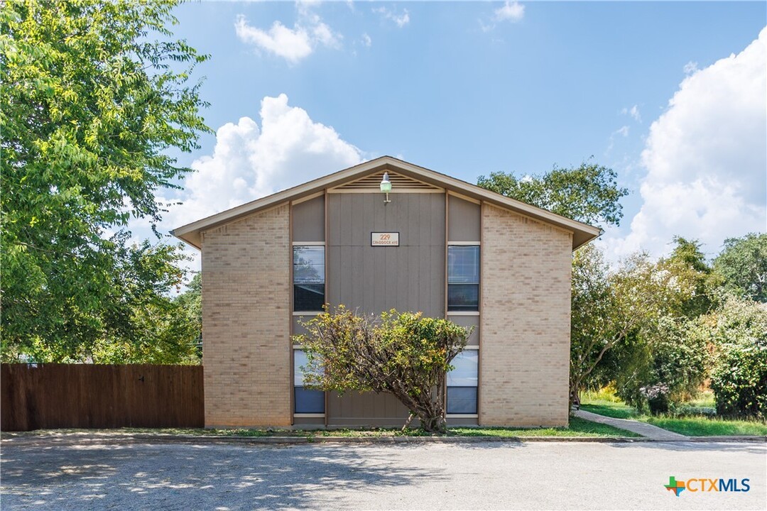 229 Craddock Ave in San Marcos, TX - Building Photo