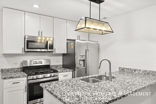 2038 W 21st St in Chicago, IL - Building Photo - Building Photo