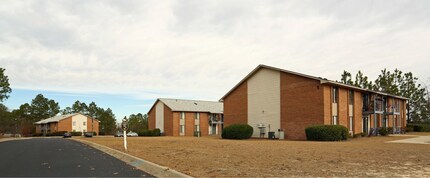 353 Community Dr in Lexington, SC - Building Photo - Building Photo