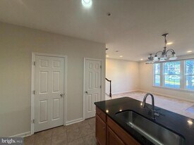 25549 Feltre Terrace in Chantilly, VA - Building Photo