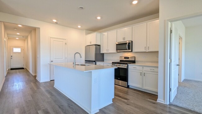 1164 Woodlily Ln in Bartlett, IL - Building Photo - Building Photo