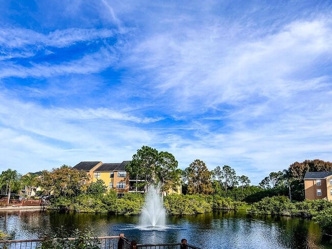 property at 11901 4th St N