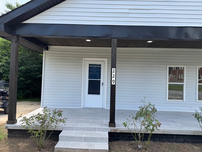 229 Lewis St in Gibsonville, NC - Foto de edificio - Building Photo