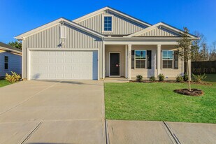 3852 Starry Sky Rd in Leland, NC - Building Photo