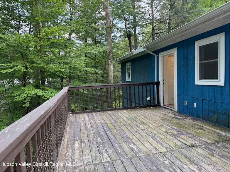 244 Pepacton Hollow Rd in Grahamsville, NY - Building Photo