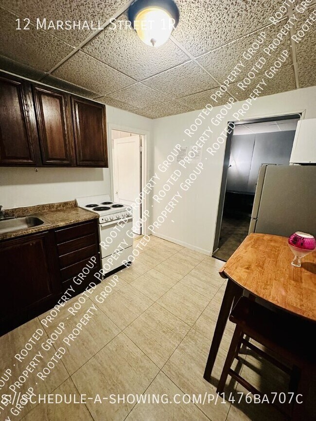 12 Marshall St in Troy, NY - Building Photo - Building Photo