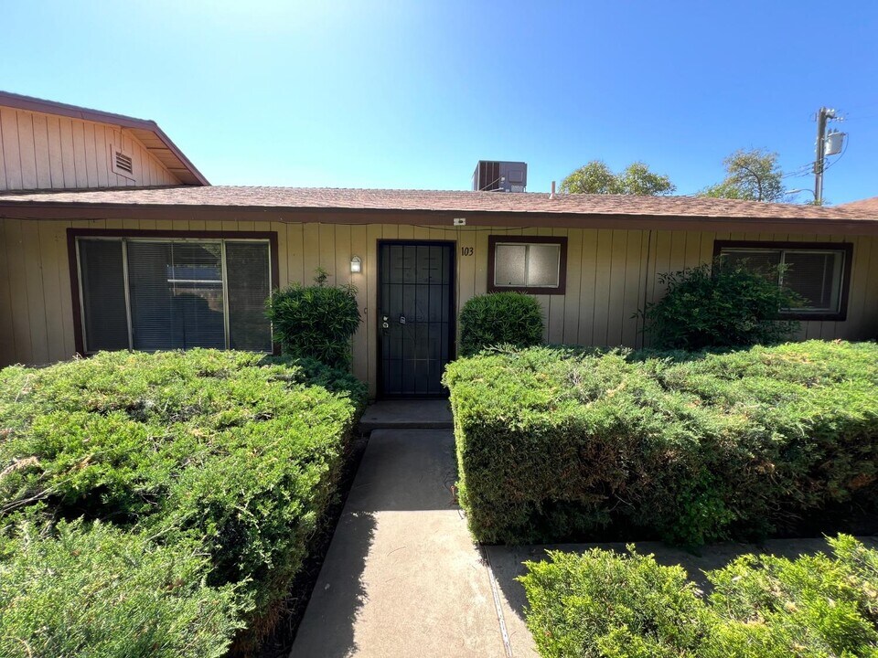 3855 E Hampton Way in Fresno, CA - Building Photo