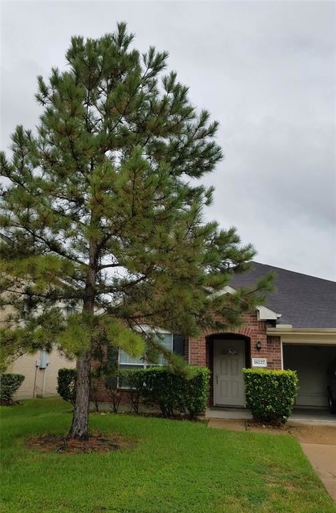 18227 Sweet Juniper Ln in Katy, TX - Foto de edificio