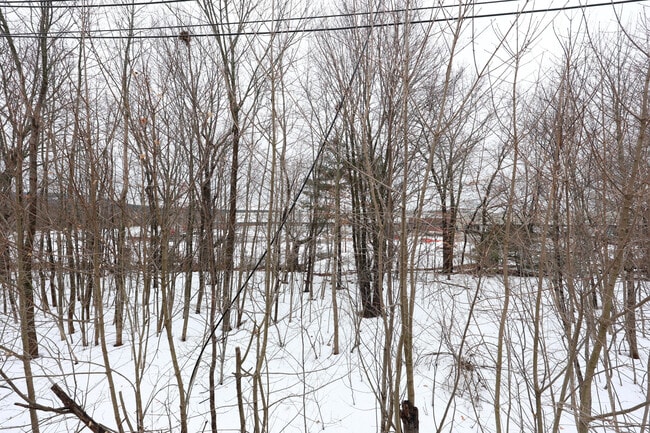 65 Clifford St in Boston, MA - Foto de edificio - Building Photo