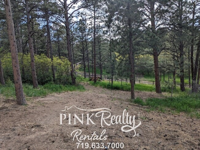 19935 Hamal Dr in Monument, CO - Building Photo - Building Photo