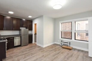 834 W Wolfram St, Unit 300 in Chicago, IL - Building Photo