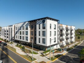Nova Tallahassee in Tallahassee, FL - Building Photo