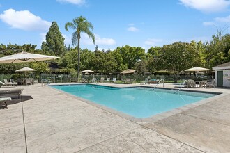 The Grove at Walnut Creek in Walnut Creek, CA - Foto de edificio - Building Photo