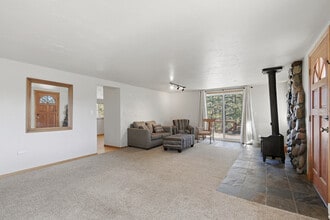 77 Catamount Ln in Bailey, CO - Building Photo - Building Photo