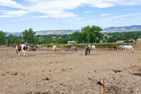 Rentals in Westminster, CO