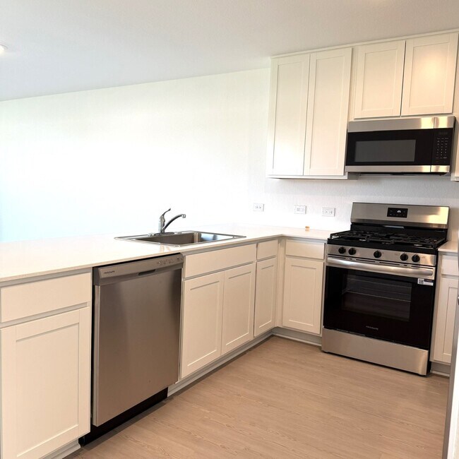 26934 Dalmatian Bellflower Dr in Katy, TX - Building Photo - Building Photo