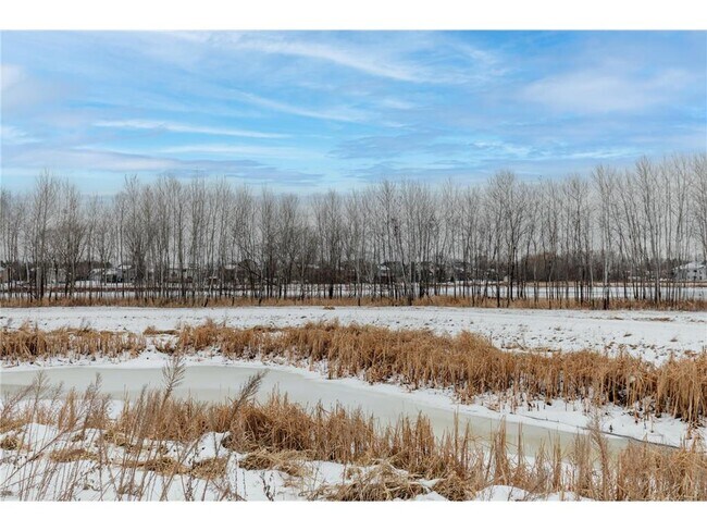 13386 Fondant Trail N in Hugo, MN - Building Photo - Building Photo