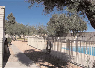 Stadium Court in Glendale, AZ - Foto de edificio - Other