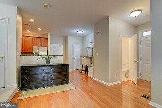 43920 Hickory Corner Terrace in Ashburn, VA - Building Photo - Building Photo